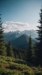 Similar image 22172711