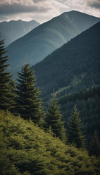 Similar image 22172961