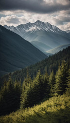 Similar image 22173428