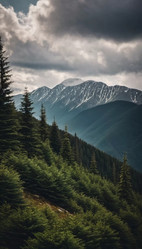 Similar image 22173570