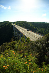 Similar image 22171121