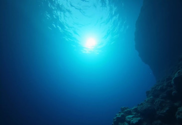 Similar image 22173444