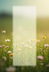 Similar image 22172985