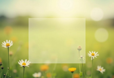 Similar image 22172987