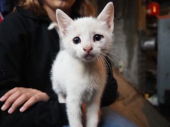 Similar image 22172988