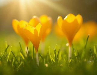 Similar image 22173447