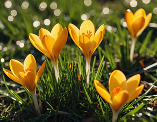 Similar image 22173811