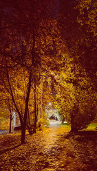 Similar image 22167277