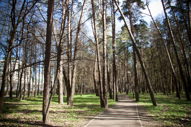 Similar image 22167374