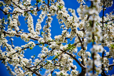 Similar image 22167378