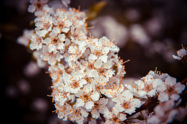 Similar image 22167379