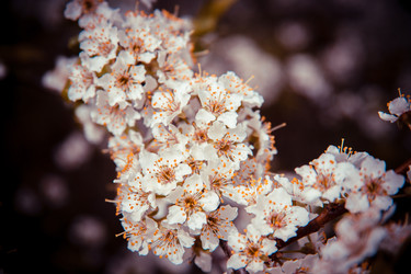 Similar image 22167381