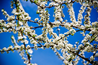 Similar image 22167382