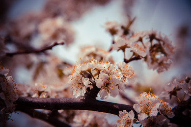 Similar image 22167383