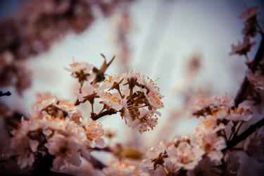 Similar image 22167387