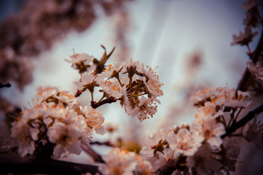 Similar image 22167389