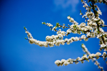 Similar image 22167390