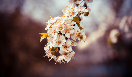 Similar image 22167393