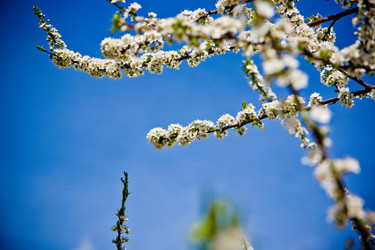 Similar image 22167394