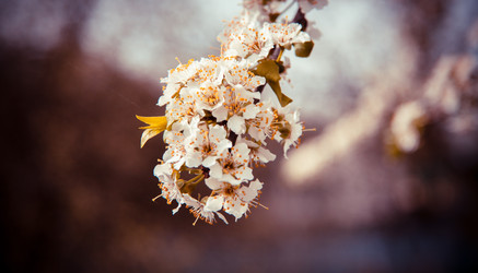 Similar image 22167397