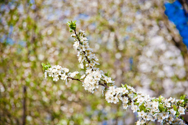 Similar image 22167398