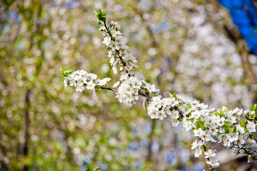 Similar image 22167400