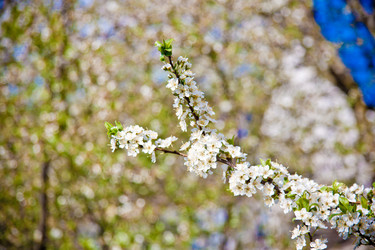 Similar image 22167404