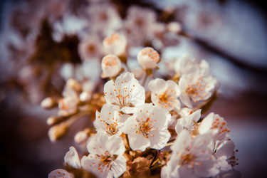 Similar image 22167405