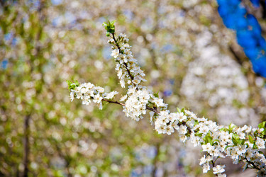 Similar image 22167406