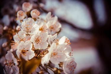 Similar image 22167408