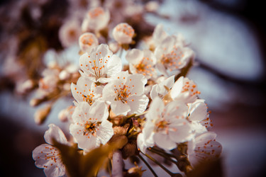 Similar image 22167411