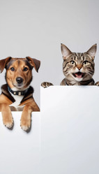 Similar image 22173256