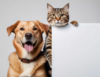 Similar image 22173455