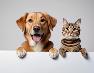 Similar image 22173826