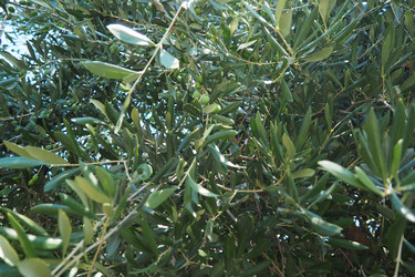 Similar image 22173006