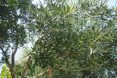 Similar image 22173007