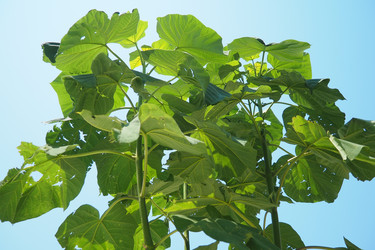 Similar image 22173257