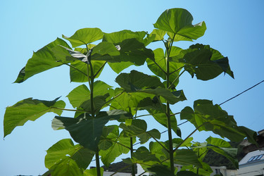 Similar image 22173828