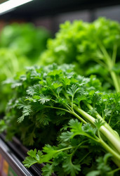 Similar image 22172736