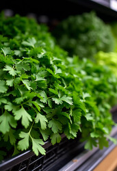 Similar image 22173030