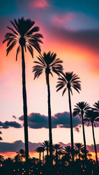 Similar image 22172738