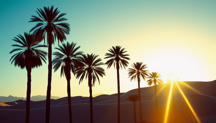 Similar image 22173643