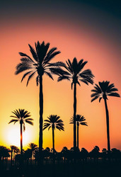 Similar image 22173849