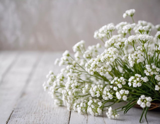 Similar image 22172739