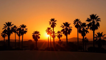 Similar image 22172740