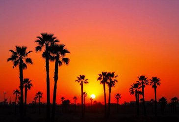 Similar image 22173292