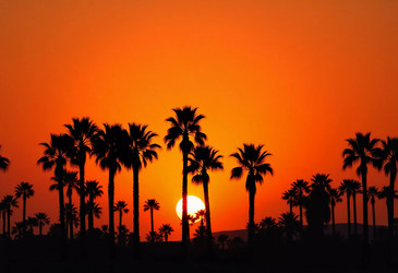 Similar image 22173852