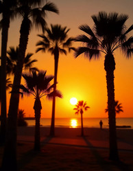 Similar image 22173855