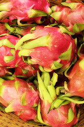 Similar image 22181135