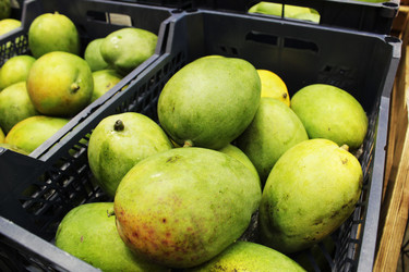 Similar image 22181142